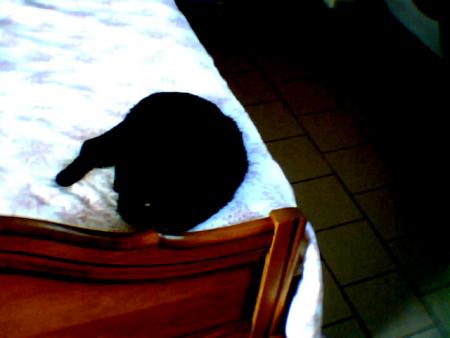 mn chat a moi!!