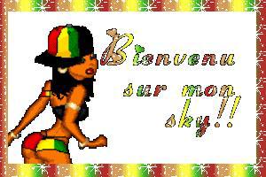 bienvenu a mon sky